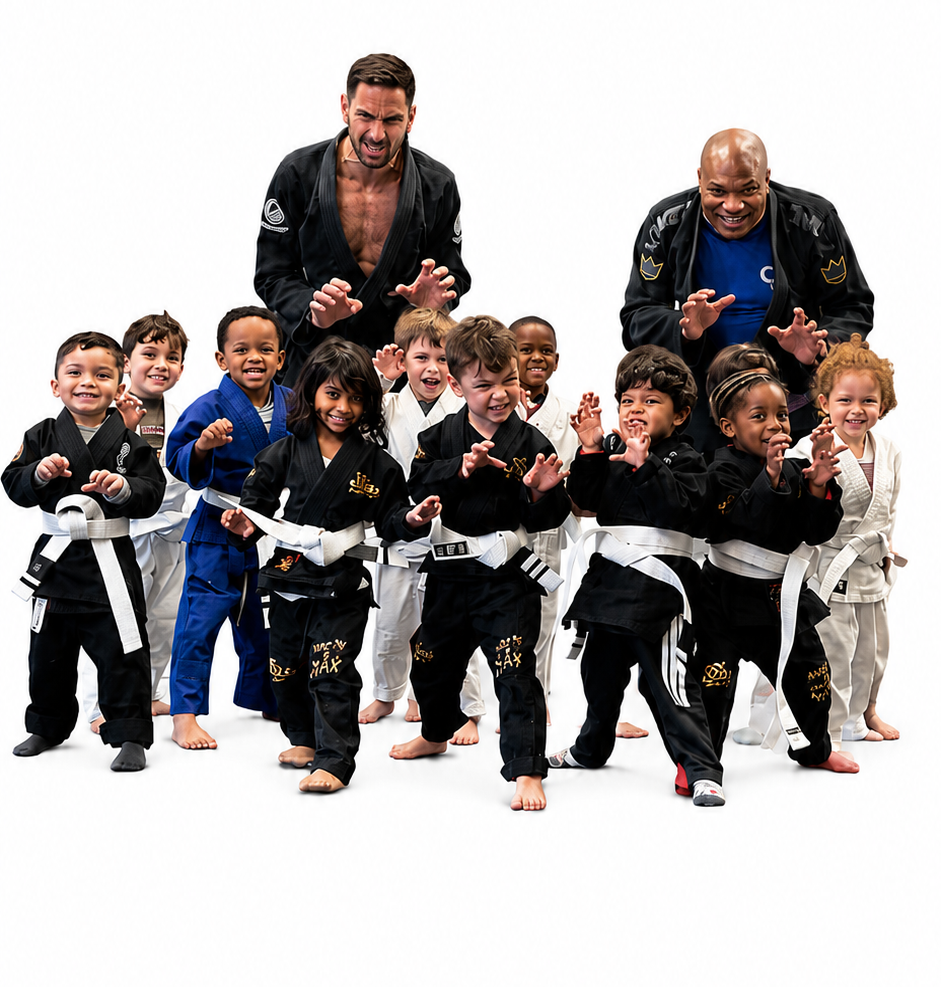 Photo cours baby jjb ( 3-4 ans )au club FWA au Champigny, Villiers sur marne au club FWA